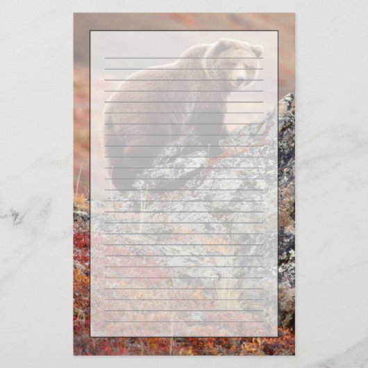 Papeterie Ours Brown de Denali (Devant)