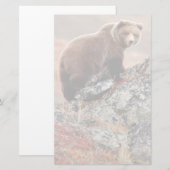 Papeterie Ours Brown de Denali (Devant / Derrière)