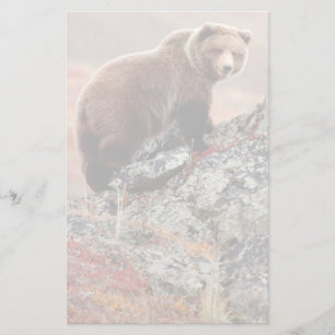 Papeterie Ours Brown de Denali