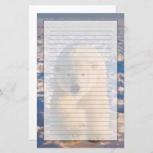 Papeterie ours polaire, Ursus maritimus, ours polaire sur gl (Devant / Derrière)