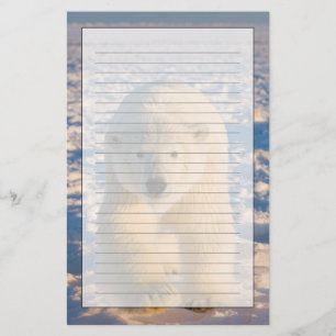 Papeterie ours polaire, Ursus maritimus, ours polaire sur gl