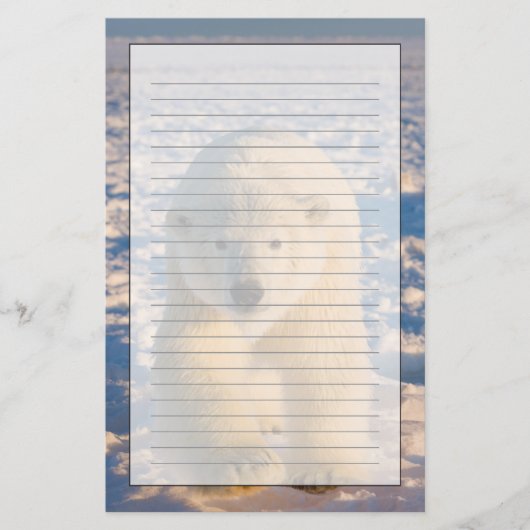 Papeterie ours polaire, Ursus maritimus, ours polaire sur gl (Devant)