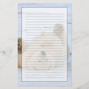 Papeterie ours polaire, Ursus maritimus, ourson roulant 3