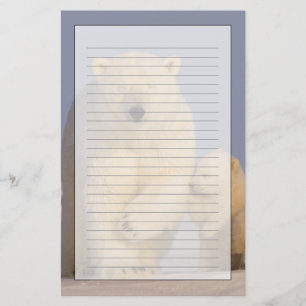 Papeterie ours polaire, Ursus maritimus, truie avec nouveau-