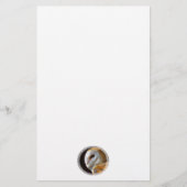 PAPETERIE OWLS (Devant)