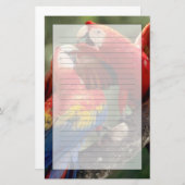 Papeterie Paire de Scarlet Macaws (Devant / Derrière)