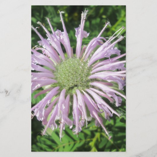 Papeterie Palme d'abeille violette (Devant)