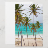 Papeterie Palmiers de plage (Devant / Derrière)