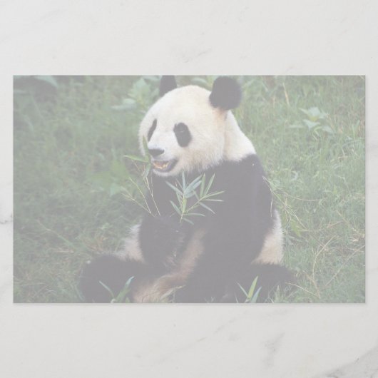 Papeterie Panda géant, province de Sichuan, Chine (Devant)