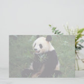 Papeterie Panda géant, province de Sichuan, Chine (Debout devant)