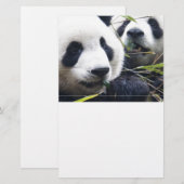Papeterie Pandas géants (Devant / Derrière)