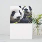 Papeterie Pandas géants (Debout devant)