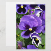 Papeterie panneaux violets (Devant / Derrière)
