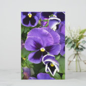 Papeterie panneaux violets (Debout devant)