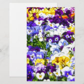 Papeterie Pansies (Devant / Derrière)