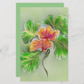 Papeterie Papeteries (Devant / Derrière)