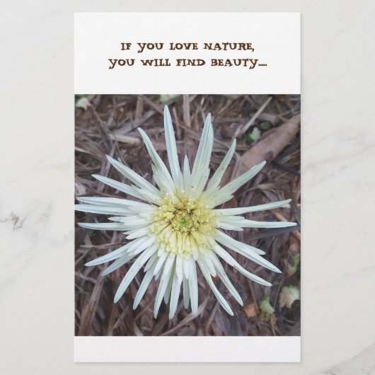 Papeterie Papier (Devant)