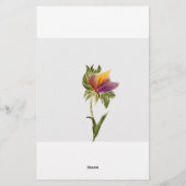 Papeterie Papier (Dos)