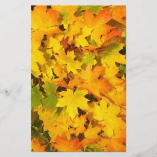 Papeterie Papier à Feuille d'érable d'automne