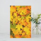 Papeterie Papier à Feuille d'érable d'automne (Debout devant)