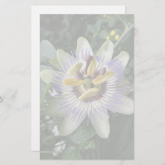 Papeterie Papier à fleurs Passion (Devant / Derrière)