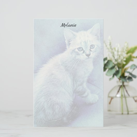 Papeterie Papier à lettres bleu (Debout devant)