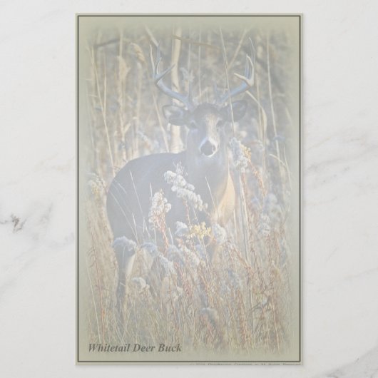 Papeterie Papier à lettres Cerf Buck à queue blanche (Devant)
