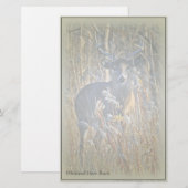 Papeterie Papier à lettres Cerf Buck à queue blanche (Devant / Derrière)