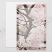 Papeterie Papier à lettres Cherry Blossom (Devant / Derrière)