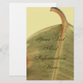 Papeterie Papier à lettres de congé vert (Devant / Derrière)