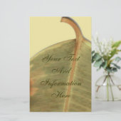 Papeterie Papier à lettres de congé vert (Debout devant)