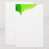 Papeterie Papier à lettres de congé vert (Devant / Derrière)