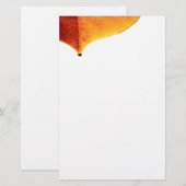 Papeterie Papier à lettres Orange Leave (Devant / Derrière)
