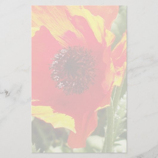 Papeterie Papier à lettres orange Poppy (Devant)