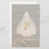 Papeterie Papier à lettres Pekin Duck Birds (Devant / Derrière)
