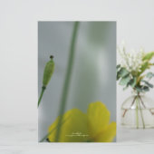 Papeterie Papier à lettres personnalisable 12 (Debout devant)