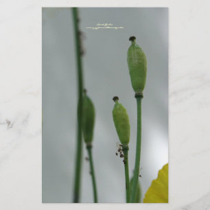 Papeterie Papier à lettres personnalisées Shade 11 Poppies j