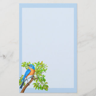 Papeterie Papier à lettres pour oiseaux sauvages de l'Est