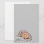 Papeterie Papier à lettres rose (Devant / Derrière)