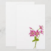 Papeterie Papier à lettres rose Tiger (Devant / Derrière)