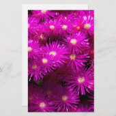 Papeterie Papier à scandale à fleurs rose Aster (Devant / Derrière)