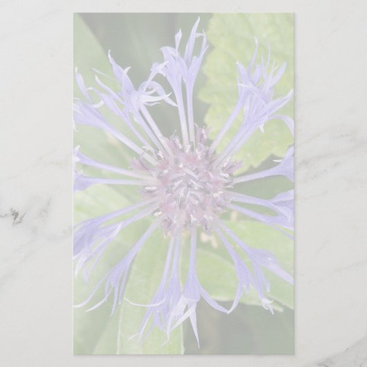 Papeterie Papier Corbeille Bleu (Devant)