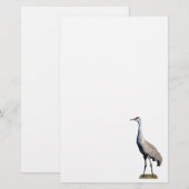 Papeterie Papier en-tête photo Sandhill Crane (Devant / Derrière)