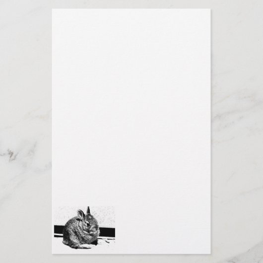 Papeterie Papier lapin (Devant)