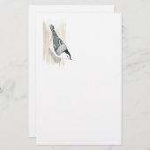 Papeterie Papier Nuthatch à poitrine blanche (Devant / Derrière)