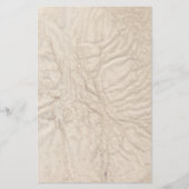 Papeterie Papier papier ancien (Devant)