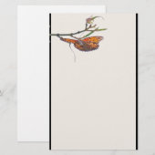 Papeterie Papier papillon (Devant / Derrière)