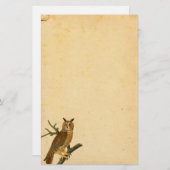 Papeterie Papier Parchemin Chouette vintage (Devant / Derrière)