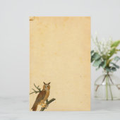 Papeterie Papier Parchemin Chouette vintage (Debout devant)