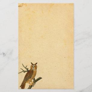 Papeterie Papier parcheminé de Amusement-regard de hibou de